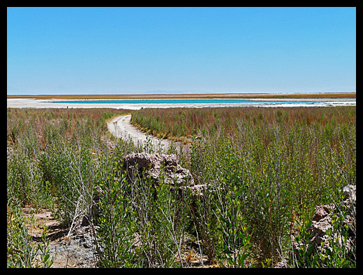laguna Cejar